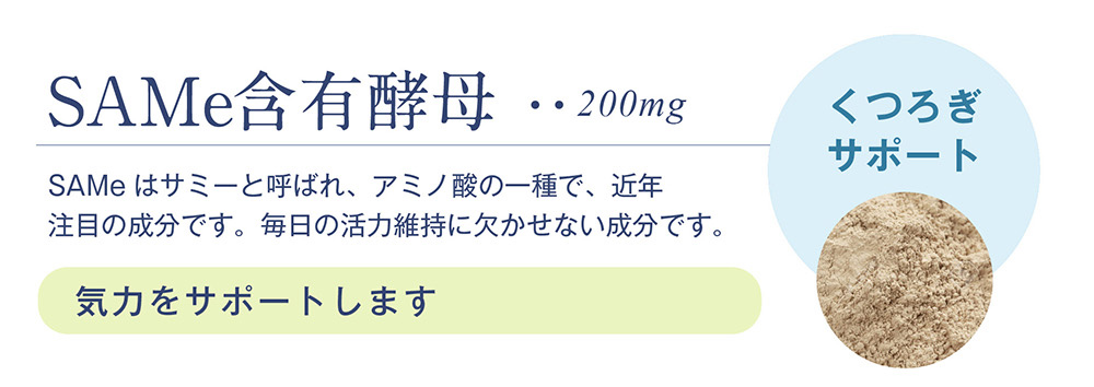 SAMe含有酵母